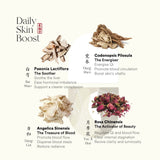 NEW Daily Skin Boost Trio - ést.lab